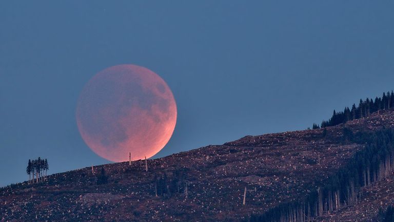 A lunar eclipse is seen over the horizon.